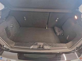 FORD Fiesta usata, con Fendinebbia