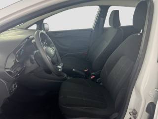 FORD Fiesta usata 8