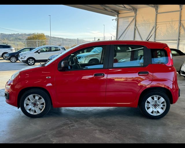 FIAT Panda usata, con Airbag Passeggero