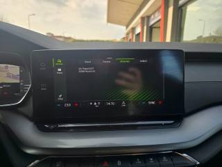 SKODA Octavia usata, con Hill holder