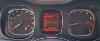 FIAT Panda usata 14