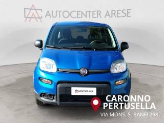 FIAT Panda usata, con Controllo trazione