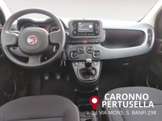 FIAT Panda usata, con Immobilizzatore elettronico