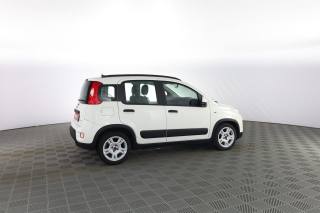 FIAT Panda usata 2