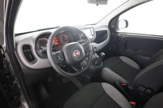FIAT Panda usata 1