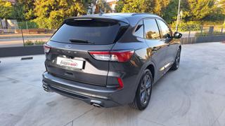 FORD Kuga usata, con Fendinebbia