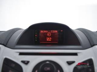 FORD Fiesta usata 14