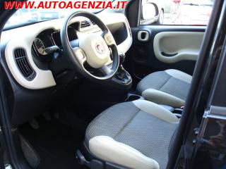 FIAT Panda usata 10