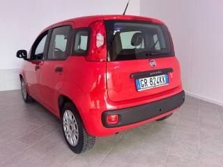 FIAT Panda usata 7