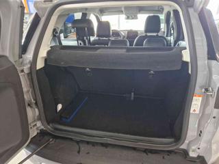 FORD EcoSport usata, con Fendinebbia