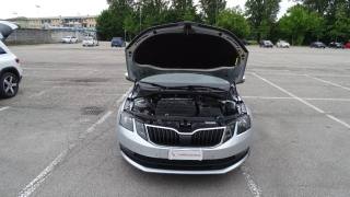 SKODA Octavia usata 135
