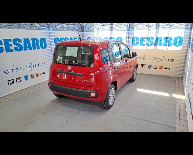 FIAT New Panda usata, con Alzacristalli elettrici