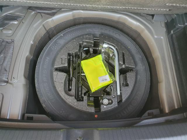 VOLKSWAGEN Polo usata, con Cruise Control