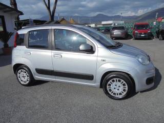FIAT Panda usata 13