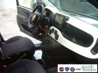 FIAT Panda Cross usata, con Luci diurne
