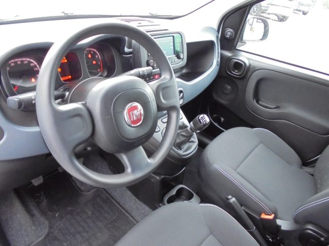 FIAT Panda usata 19