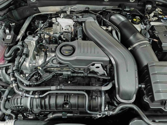 SKODA Octavia usata, con Bluetooth