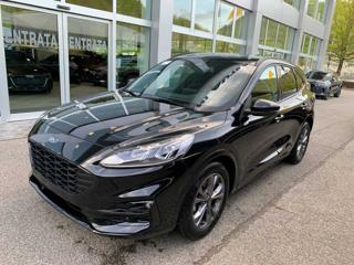 FORD Kuga 2.0 EcoBlue 120 CV aut. 2WD ST-Line - VARI COLORI!