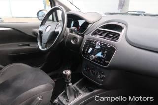 FIAT Punto usata 5