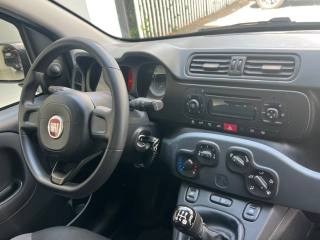 FIAT Panda usata, con Climatizzatore