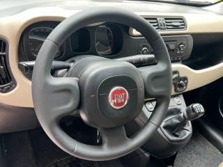 FIAT Panda usata, con Climatizzatore