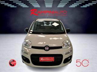 FIAT Panda usata 2