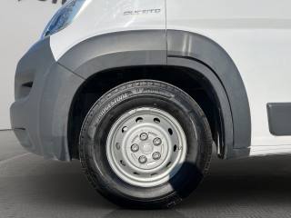 FIAT Ducato usata 16