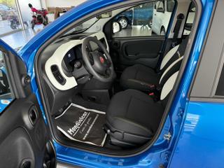 FIAT Panda Cross usata, con Antifurto