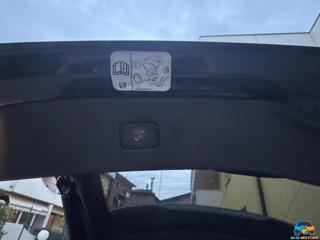 FORD Edge usata, con Servosterzo