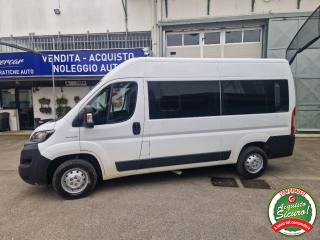 FIAT Ducato 30 2.3 MJT 140CV  Panorama 9 posti più iva!!!!