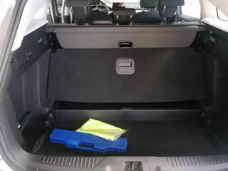 FORD Focus usata, con Airbag testa