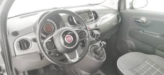 FIAT 500 usata 37