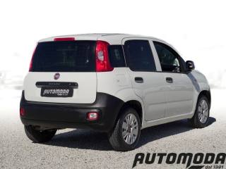 FIAT Panda usata, con Airbag Passeggero