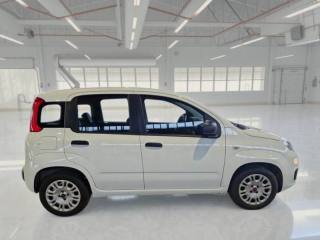 FIAT Panda usata, con Climatizzatore
