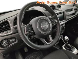 JEEP Renegade usata, con Cruise Control