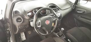 FIAT Punto usata 40