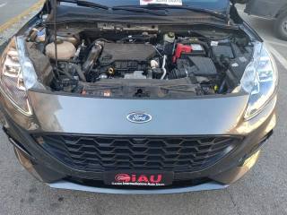 FORD Kuga usata, con Immobilizzatore elettronico