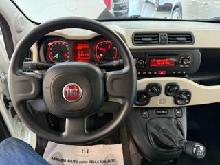 FIAT Panda usata 13