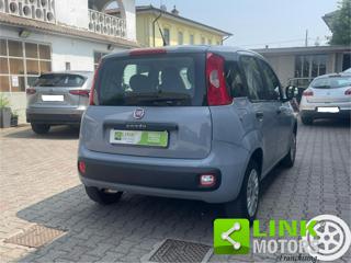 FIAT Panda usata, con Alzacristalli elettrici