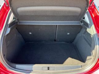 OPEL Corsa usata 13