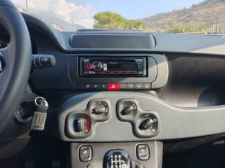 FIAT Panda usata 19