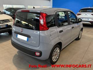 FIAT Panda usata, con Alzacristalli elettrici