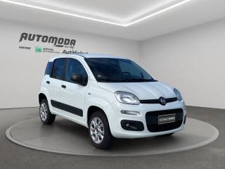 FIAT Panda usata, con Airbag laterali