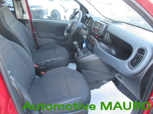 FIAT Panda Cross usata, con Airbag testa
