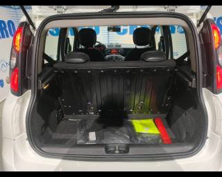 FIAT New Panda usata 19