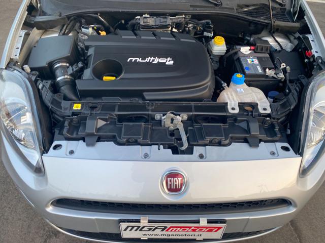 FIAT Punto usata 13