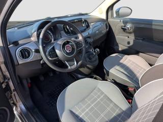 FIAT 500 usata 8