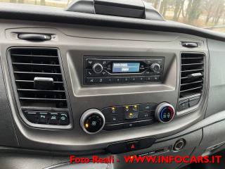 FORD Transit usata, con Fendinebbia