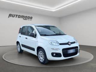 FIAT Panda usata, con Airbag Passeggero