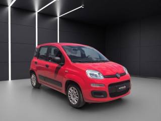 FIAT Panda usata, con ESP
